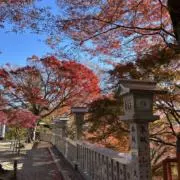 断捨離中　ぴかば⭐️プロフ読んでねの画像