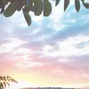 vvの画像