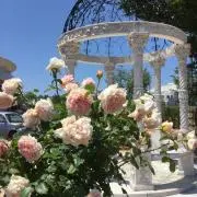 華林の画像
