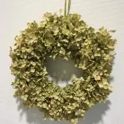syiの画像