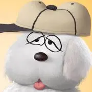 ぴいの画像