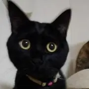 ちな