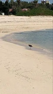 むなし