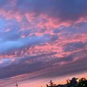 kyuuの画像