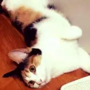 ☺︎がんこちゃん☺︎