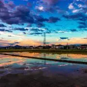 Rの画像