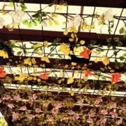 はな❁⃘*.ﾟ