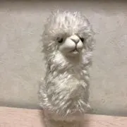 naophooの画像