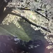MOMoの画像