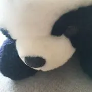 pandaの画像