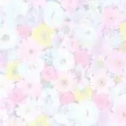 Heart Peaceの画像