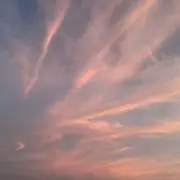 Rinnの画像