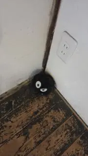suminの画像