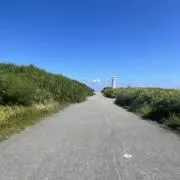 しま