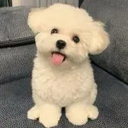 Boo ◡̈ プロフ必読ᝰ✍︎の画像