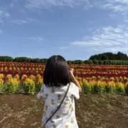 まるちんの画像