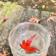おれの画像