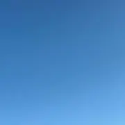 トラビススットコ
