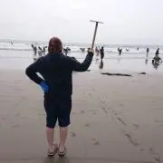 ひな