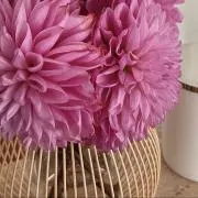 プロフィール必読！！minminの画像