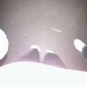 km