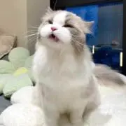 おるめる
