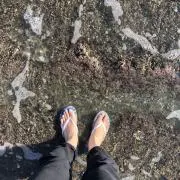 Yの画像
