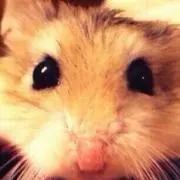 ⭐リア⭐の画像