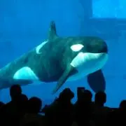 そら
