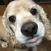 ジャック