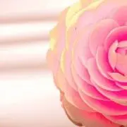 まいの画像