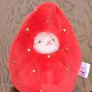 あんずの画像