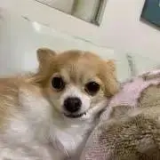 あやなん