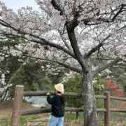 mi@の画像