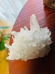 FinGの画像