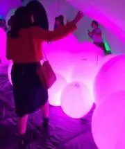 やちこの画像