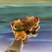 みーちゃんの画像