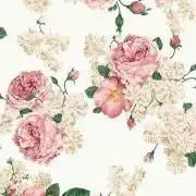 ニコニコの画像