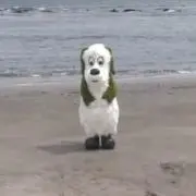 MFの画像