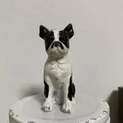 ウンパーの画像