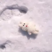 もちの画像
