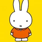 ＊プロフ必読の画像