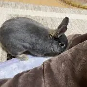 ゆうの画像