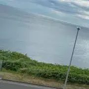 to.の画像