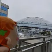 かとしょー