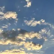 おいの画像