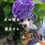 nanara* 犬の帽子と服屋さんの画像