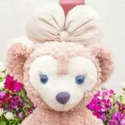 メイ♪土日祝日発送お休みですの画像