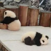OHANAの画像