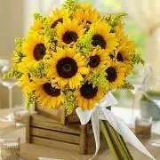 Sunflowerの画像